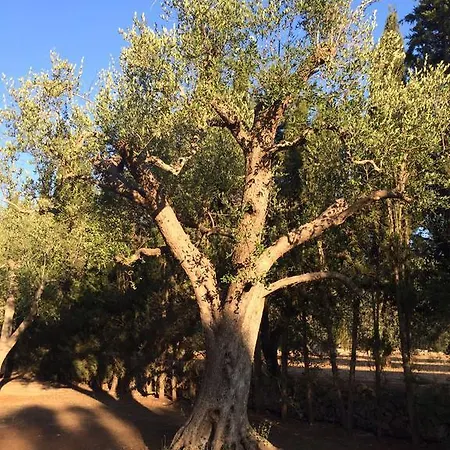 Casa Christina Galatone